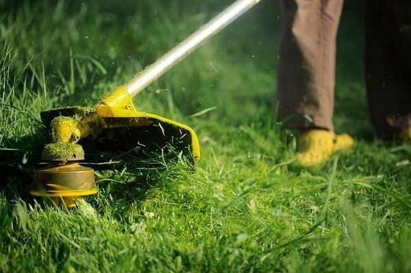 Масло для триммера. Двухтактные и четырех. Коротко...